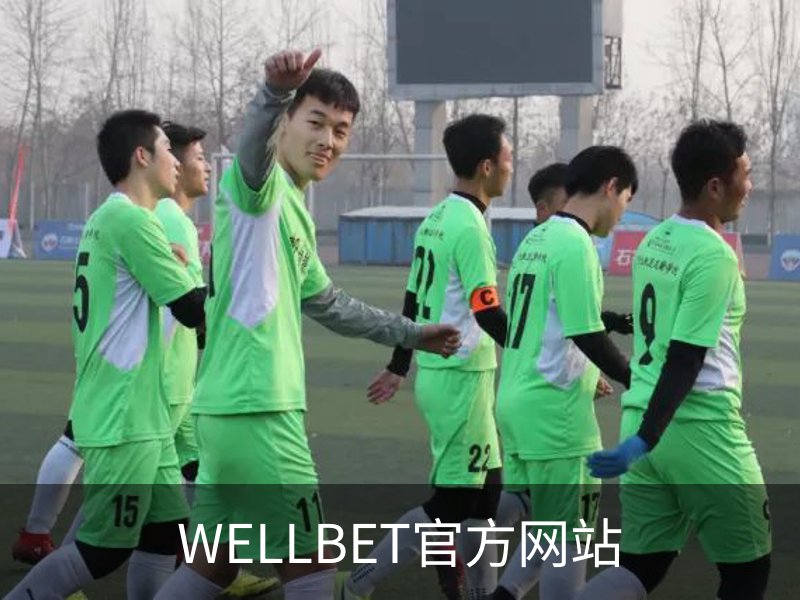 WELLBET官方网站概况
